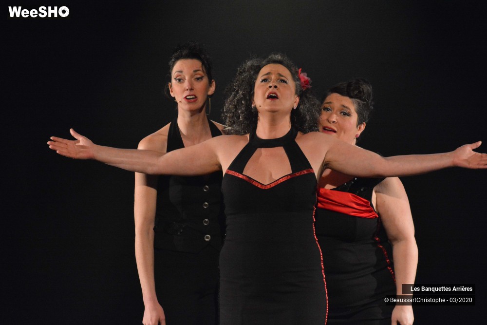 13/51 photos du spectacle Les Banquettes Arrières 