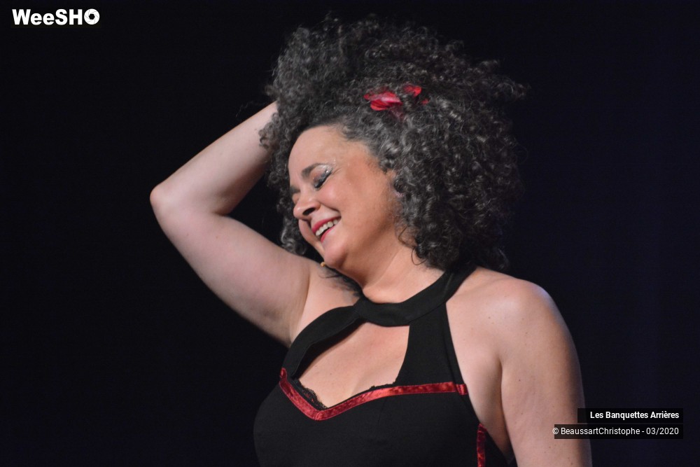 19/51 photos du spectacle Les Banquettes Arrières 