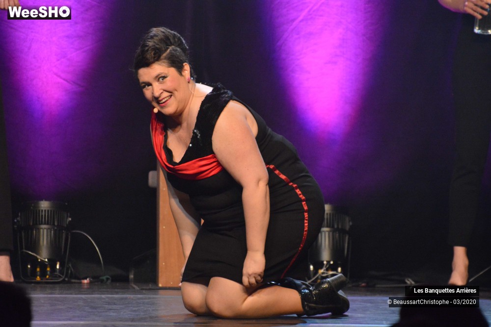 20/51 photos du spectacle Les Banquettes Arrières 