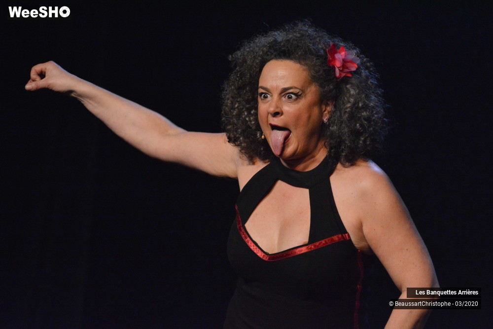 22/51 photos du spectacle Les Banquettes Arrières 