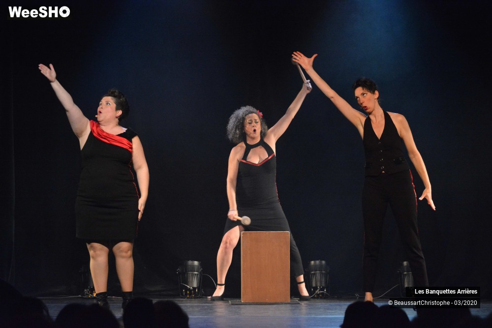 23/51 photos du spectacle Les Banquettes Arrières 