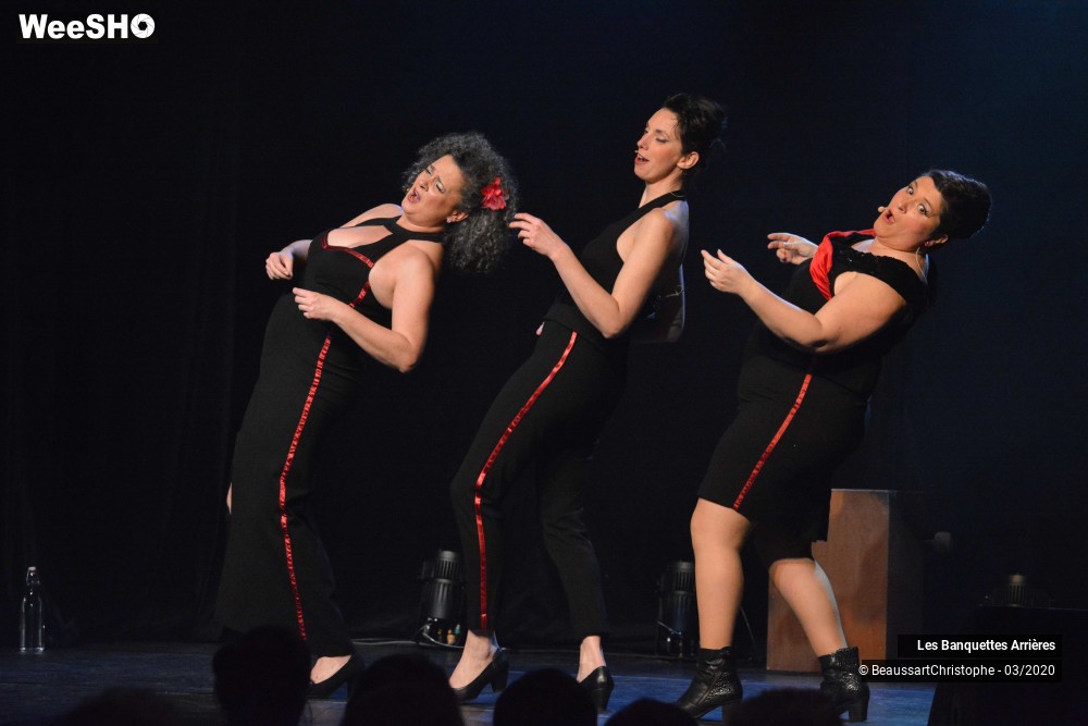 25/51 photos du spectacle Les Banquettes Arrières 