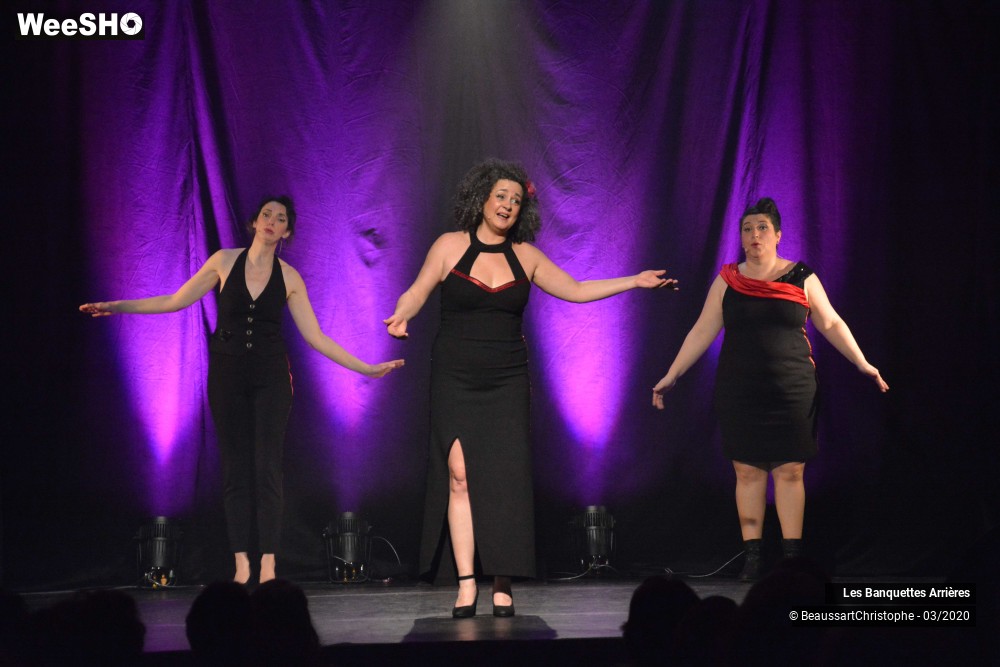 28/51 photos du spectacle Les Banquettes Arrières 