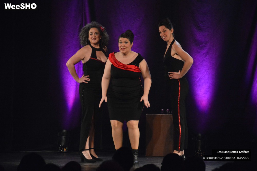 30/51 photos du spectacle Les Banquettes Arrières 