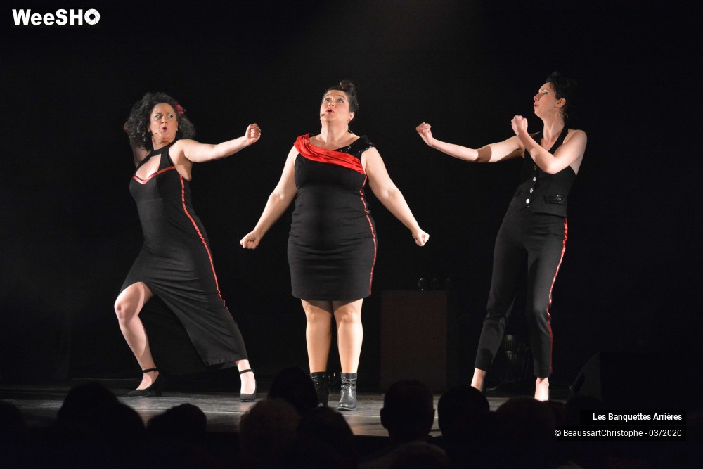 31/51 photos du spectacle Les Banquettes Arrières 