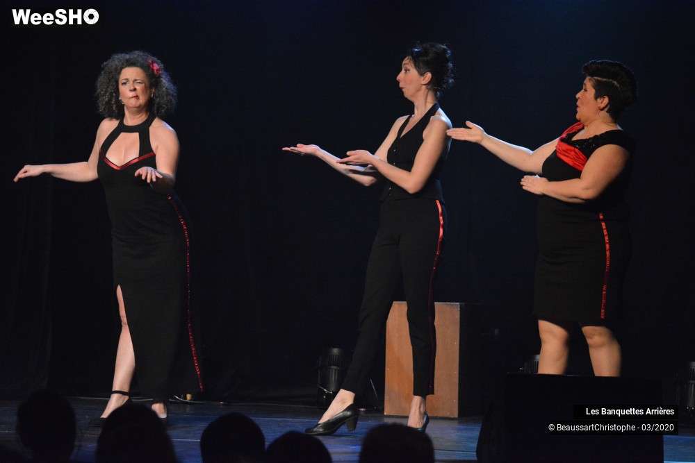 33/51 photos du spectacle Les Banquettes Arrières 