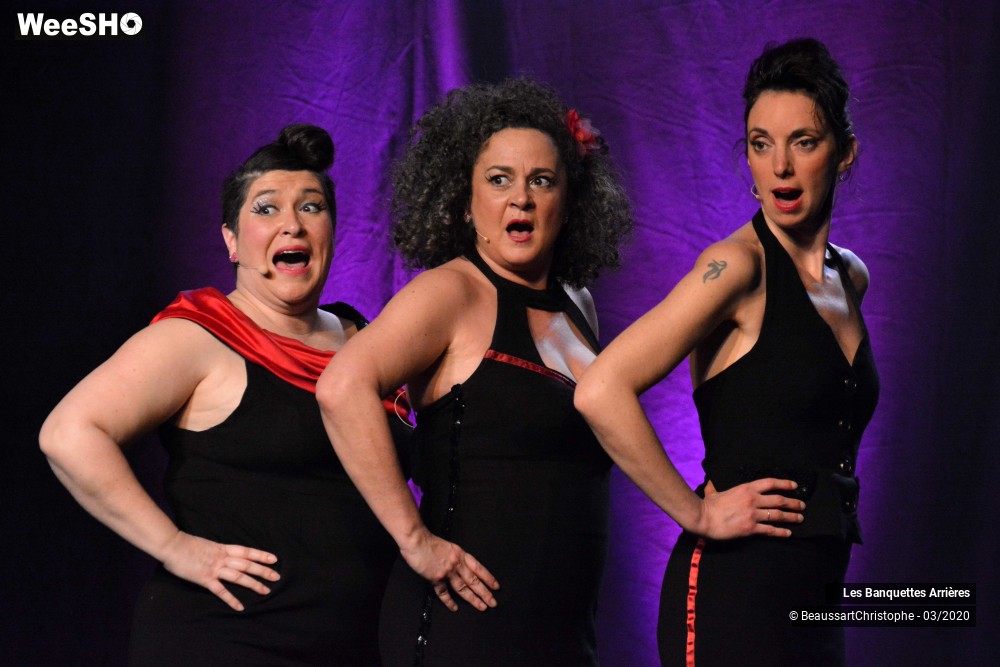 35/51 photos du spectacle Les Banquettes Arrières 