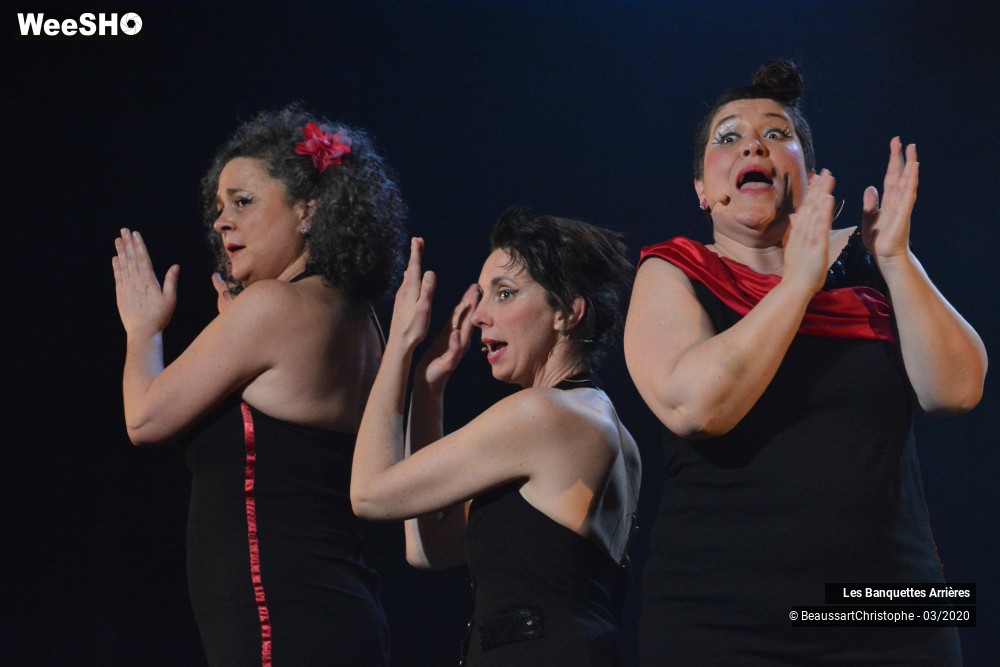 36/51 photos du spectacle Les Banquettes Arrières 