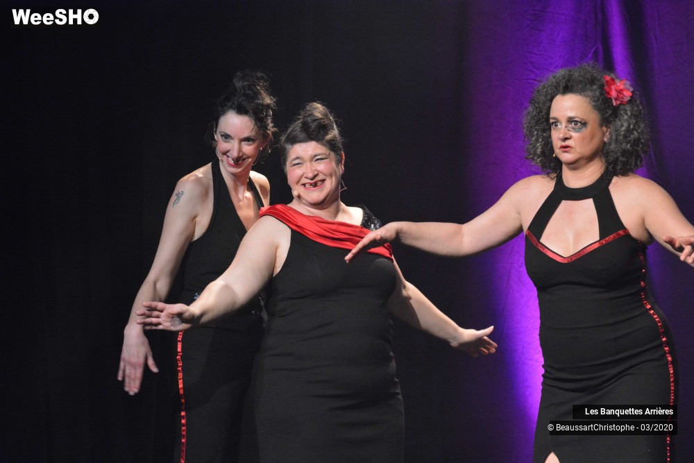 37/51 photos du spectacle Les Banquettes Arrières 