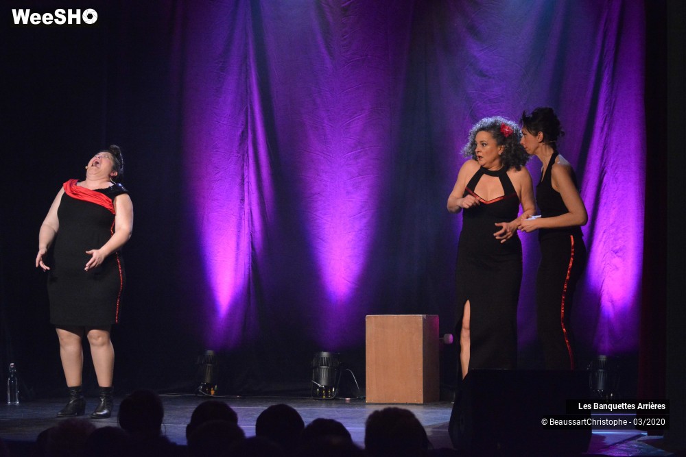 38/51 photos du spectacle Les Banquettes Arrières 