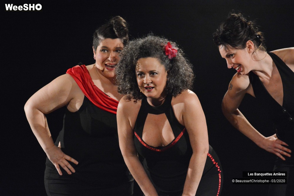 41/51 photos du spectacle Les Banquettes Arrières 