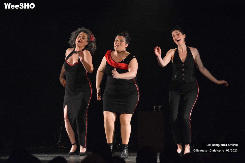 42/51 photos du spectacle Les Banquettes Arrières 