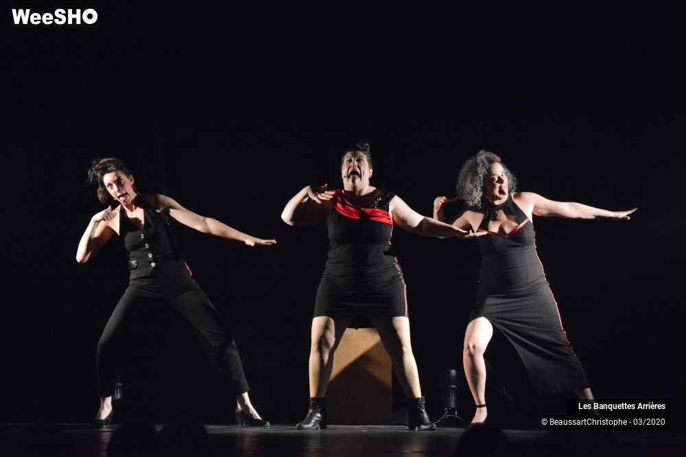 43/51 photos du spectacle Les Banquettes Arrières 