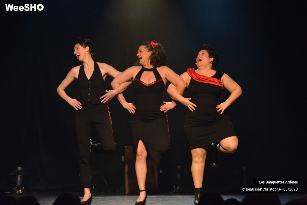 45/51 photos du spectacle Les Banquettes Arrières 