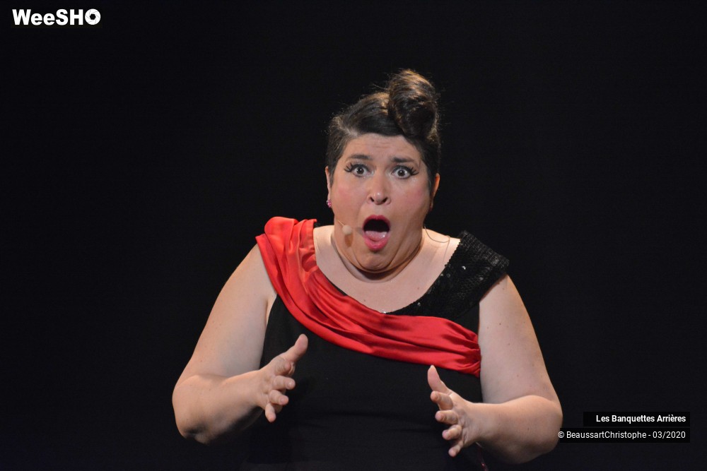 46/51 photos du spectacle Les Banquettes Arrières 