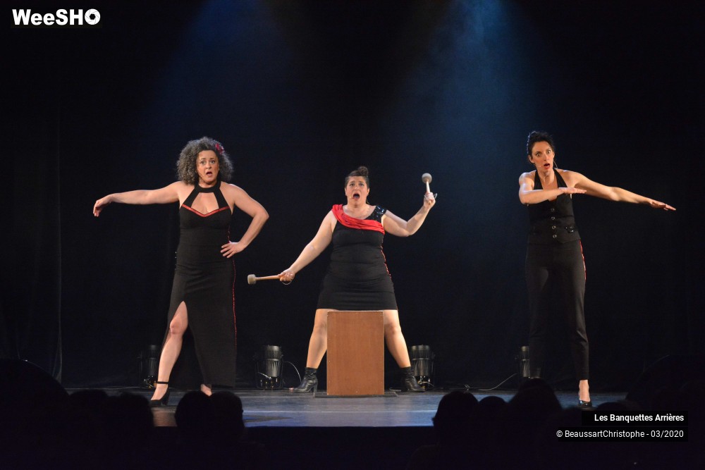 48/51 photos du spectacle Les Banquettes Arrières 