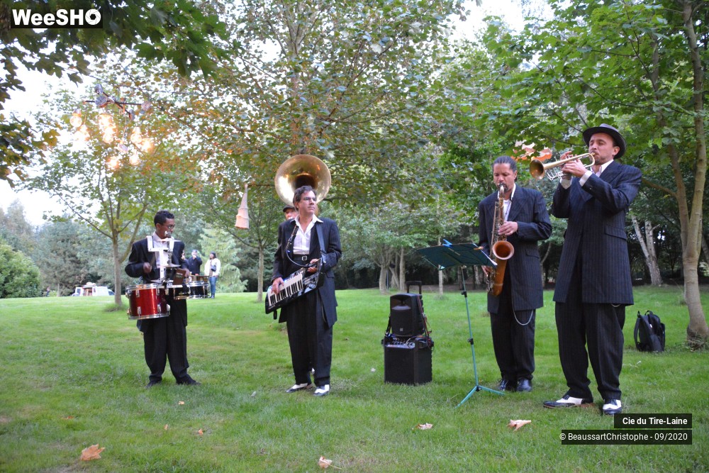 13/16 photos du spectacle Rijsel Fanfare Jungle