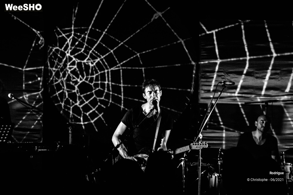 24/31 photos du spectacle Rodrigue