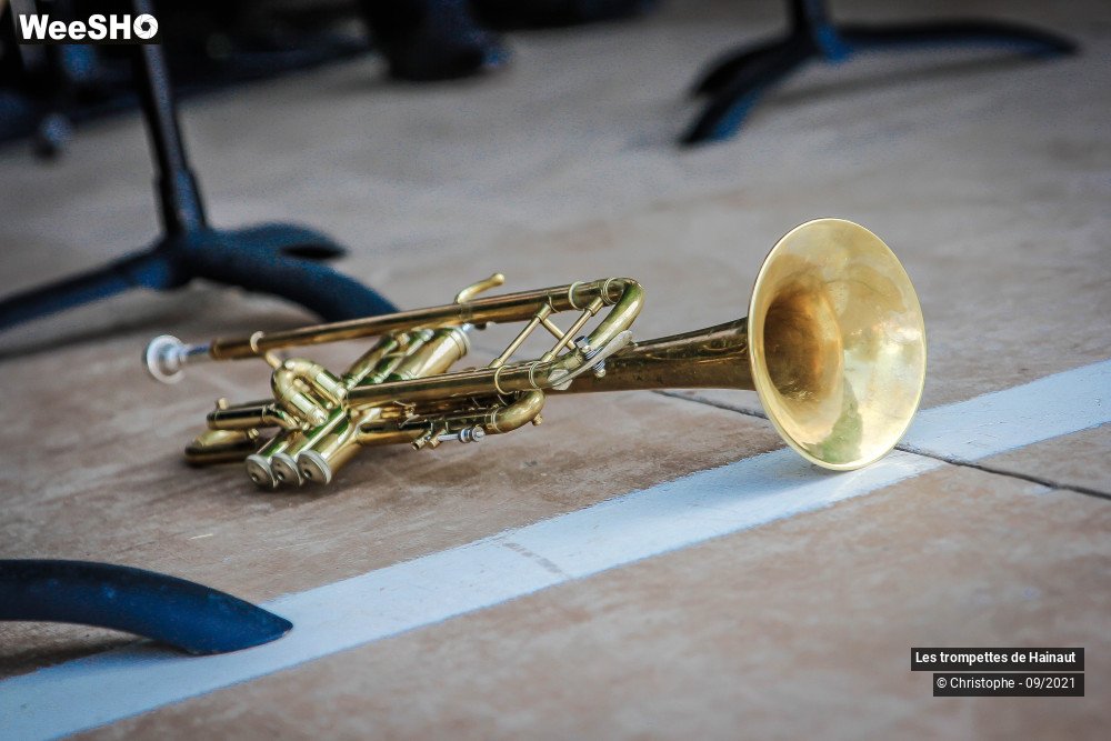 22/31 photos du spectacle Les trompettes du Hainaut