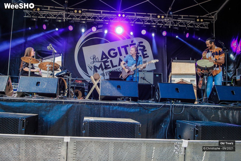 2/32 photos du spectacle Old Tree'z