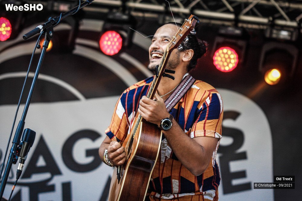 4/32 photos du spectacle Old Tree'z