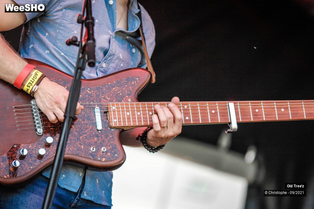 5/32 photos du spectacle Old Tree'z