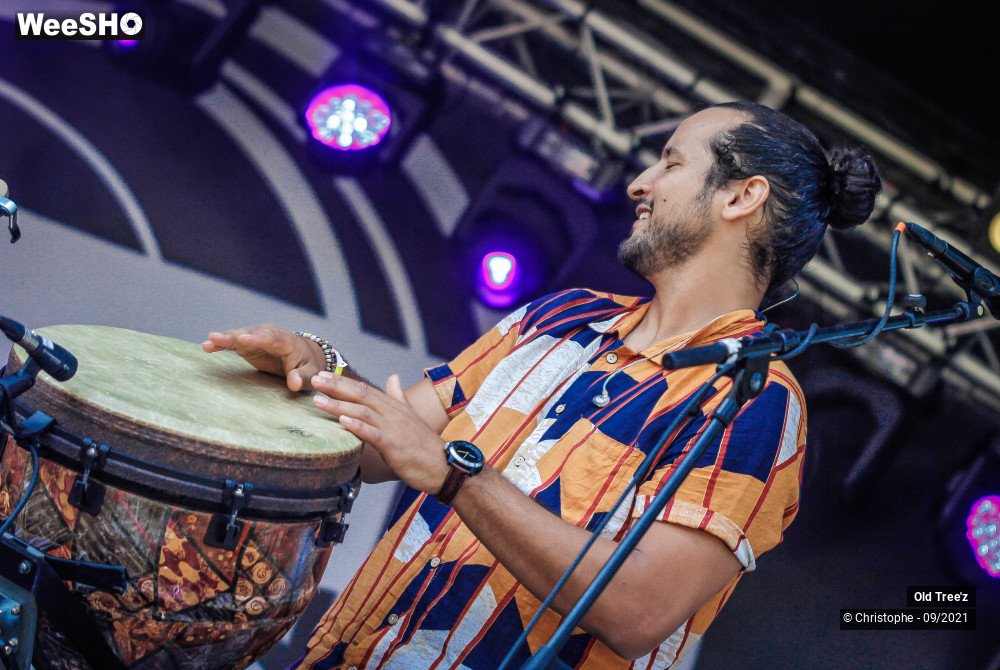 9/32 photos du spectacle Old Tree'z