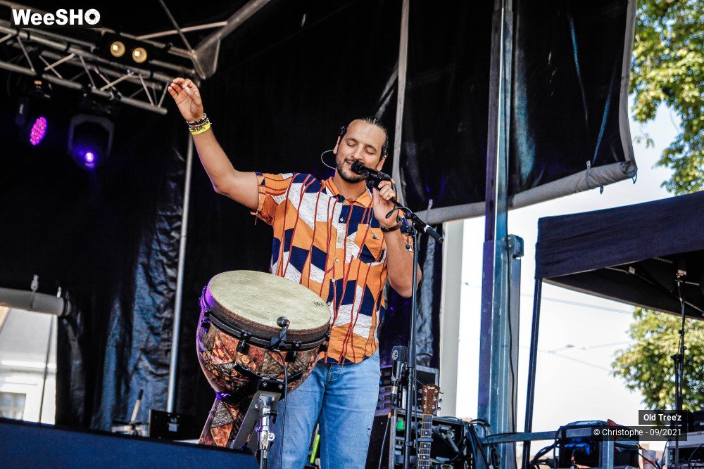 12/32 photos du spectacle Old Tree'z