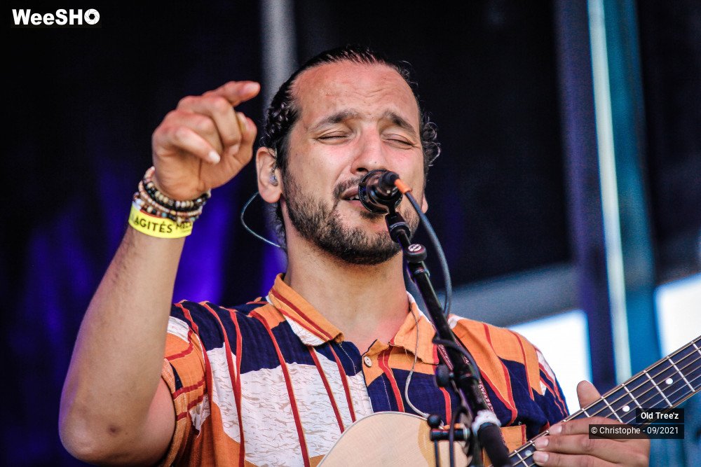 14/32 photos du spectacle Old Tree'z