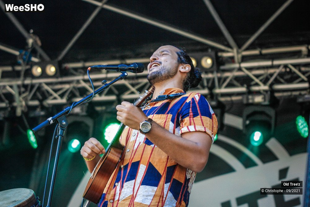 15/32 photos du spectacle Old Tree'z