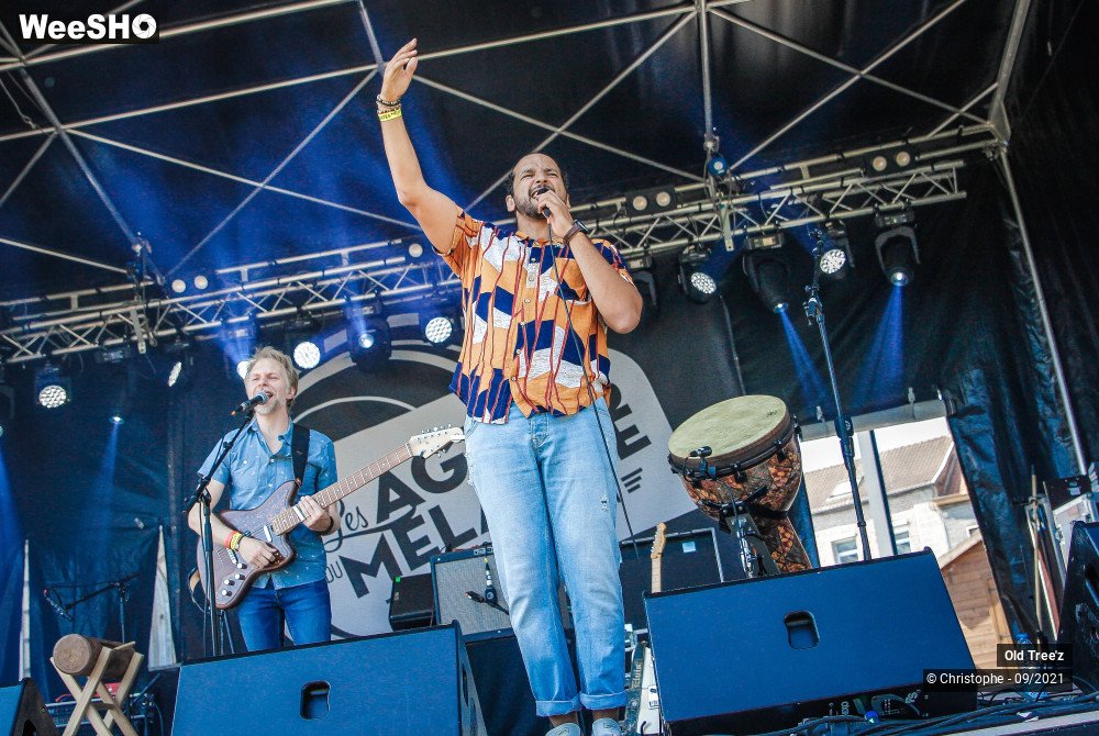 16/32 photos du spectacle Old Tree'z