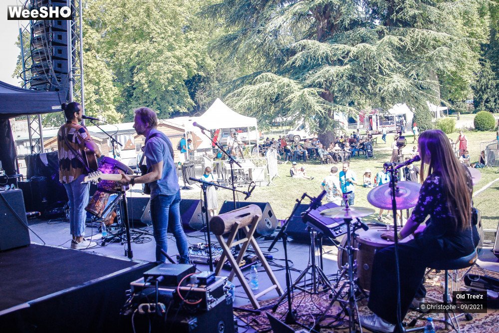 18/32 photos du spectacle Old Tree'z