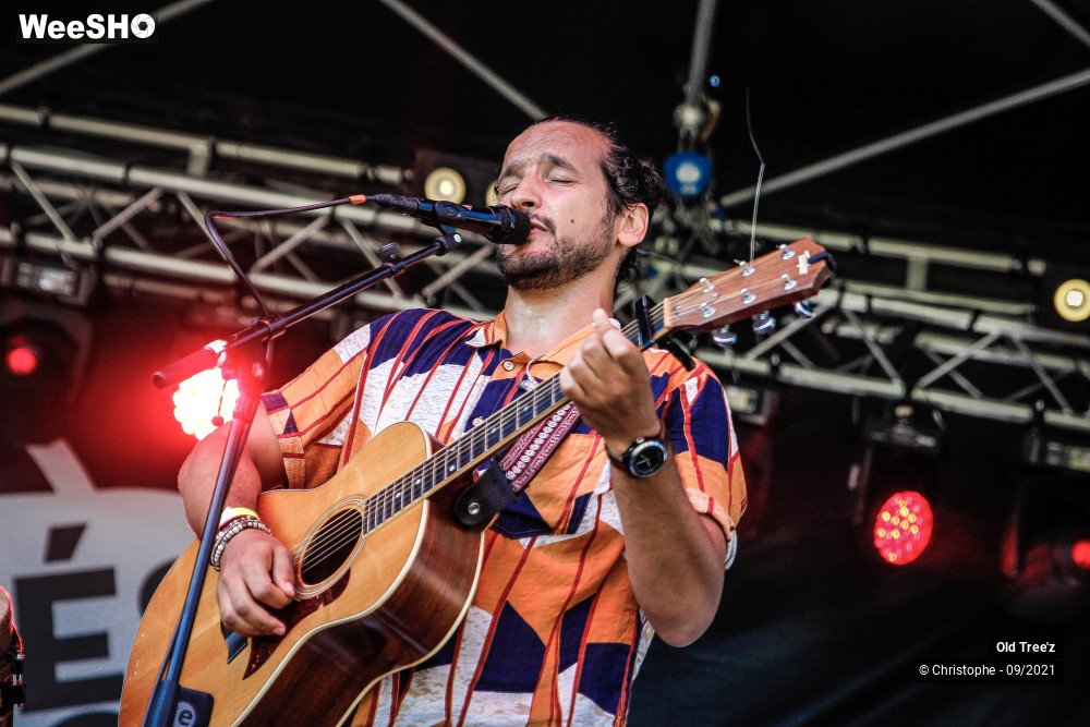 19/32 photos du spectacle Old Tree'z