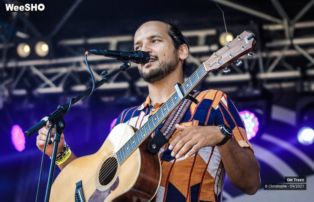 23/32 photos du spectacle Old Tree'z