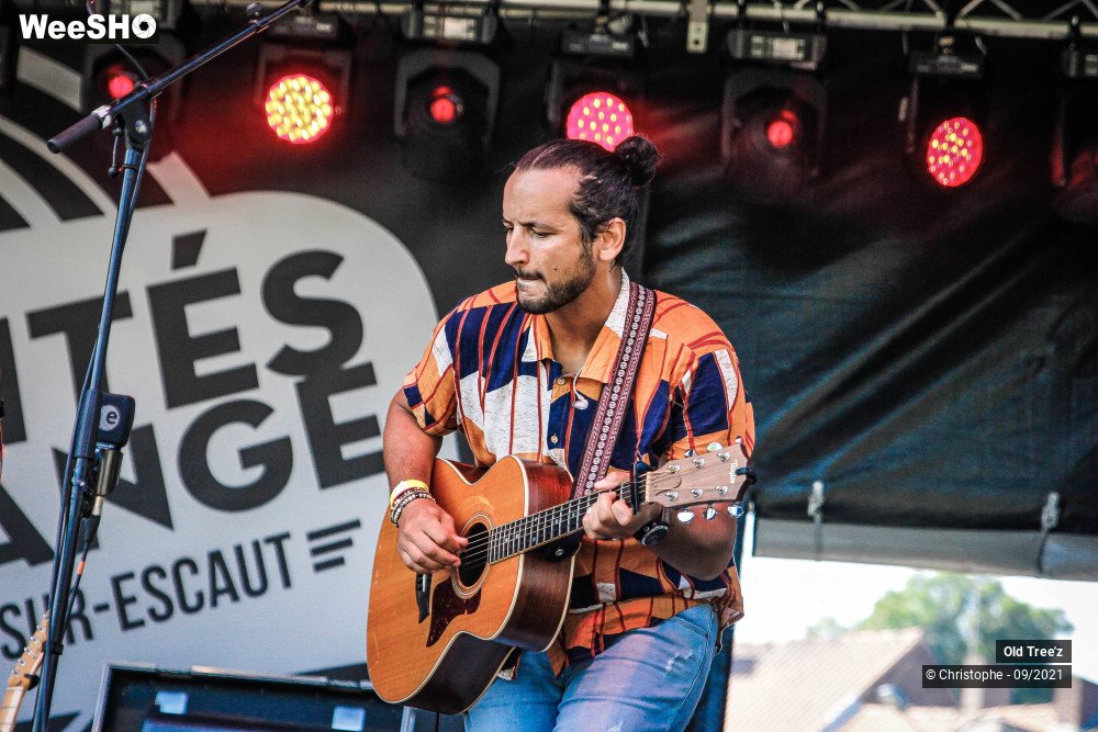 26/32 photos du spectacle Old Tree'z