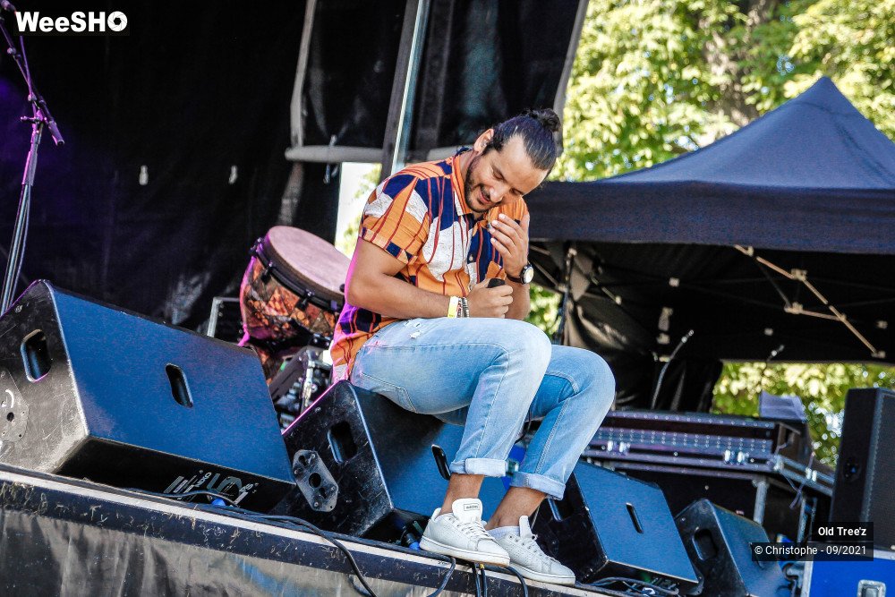 27/32 photos du spectacle Old Tree'z