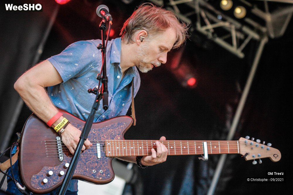 28/32 photos du spectacle Old Tree'z