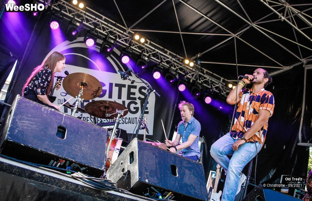 30/32 photos du spectacle Old Tree'z