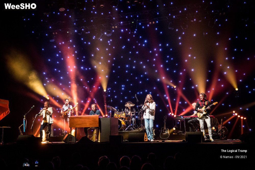 2/15 photos du spectacle The Logical Tramp
