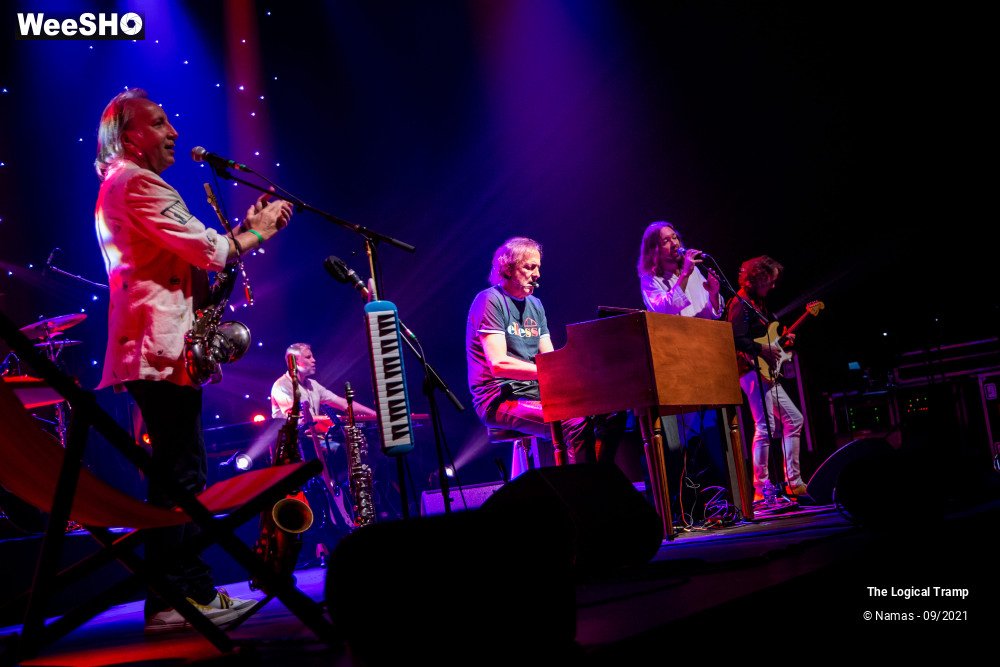 4/15 photos du spectacle The Logical Tramp