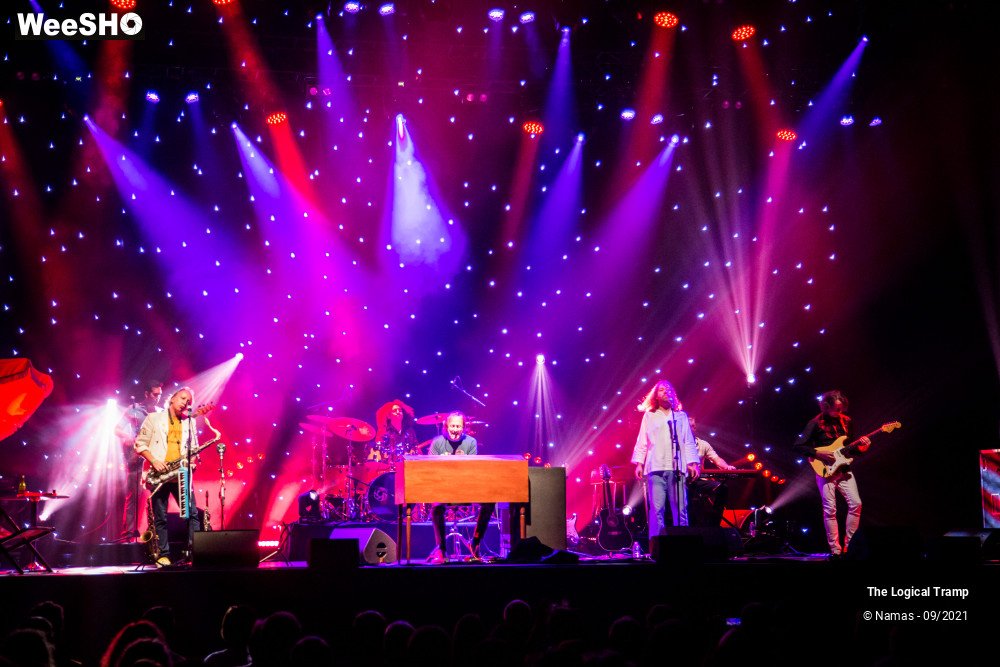 5/15 photos du spectacle The Logical Tramp