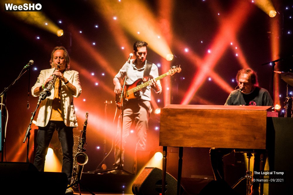8/15 photos du spectacle The Logical Tramp