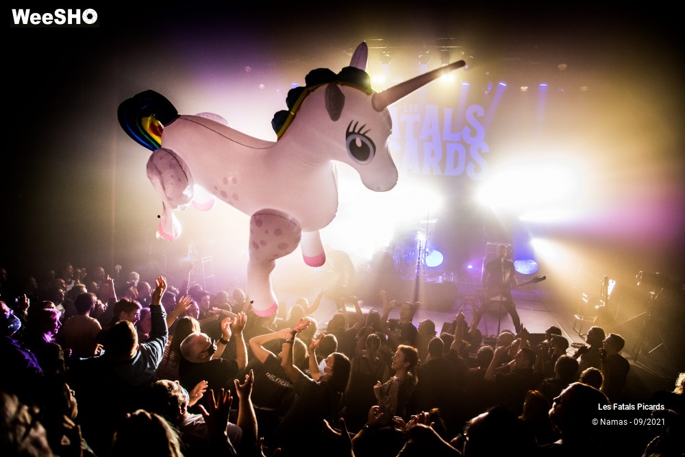 25/56 photos du spectacle Les Fatals Picards