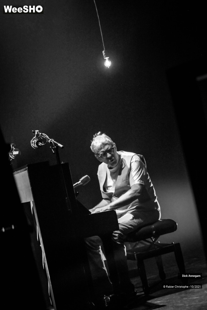 15/30 photos du spectacle Dick Annegarn