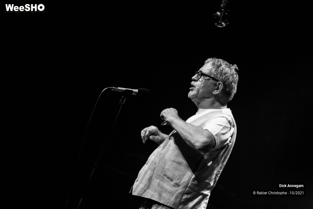 26/30 photos du spectacle Dick Annegarn