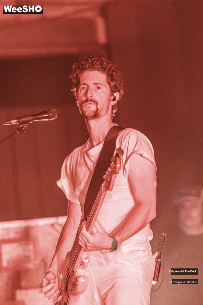 11/15 photos du spectacle Lilly Wood & The Prick