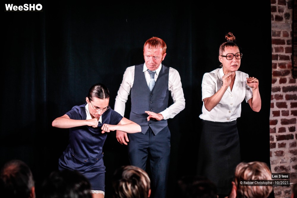 4/50 photos du spectacle Les 3 Tess