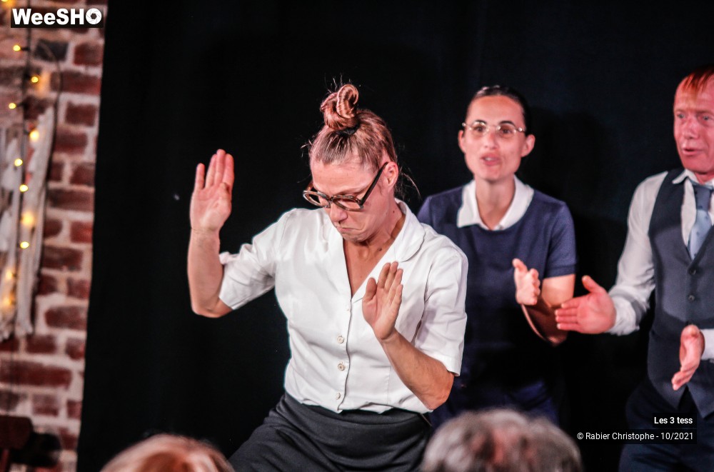 11/50 photos du spectacle Les 3 Tess