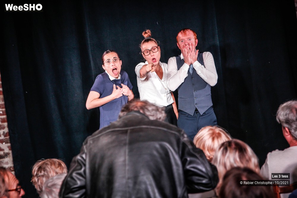 19/50 photos du spectacle Les 3 Tess