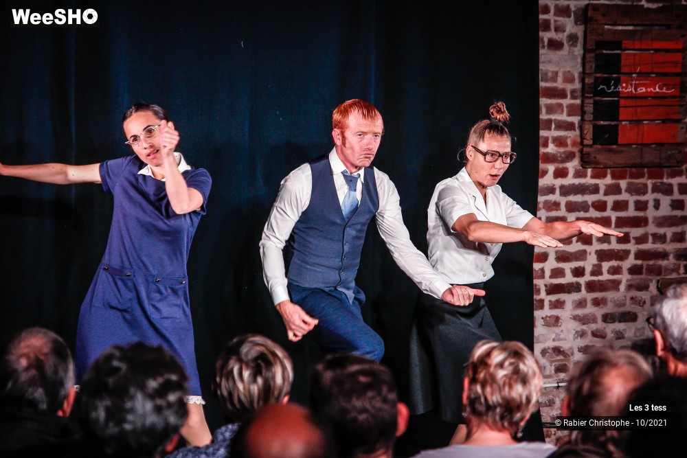 24/50 photos du spectacle Les 3 Tess